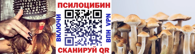 Галлюциногенные грибы Psilocybe  Купить закладки  Циолковский 